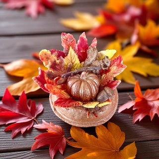 Festive Pumpkin Bath Bomb – Fall Spa Treat